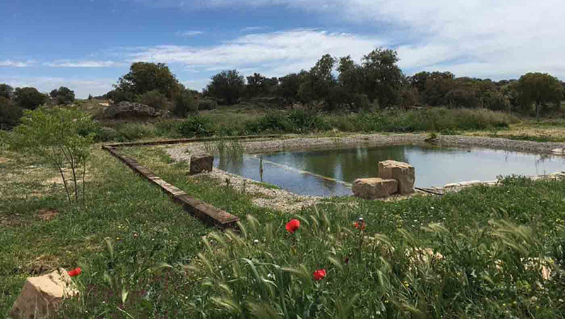 Impermeabilización de piscinas naturales y ecológicas con EPDM